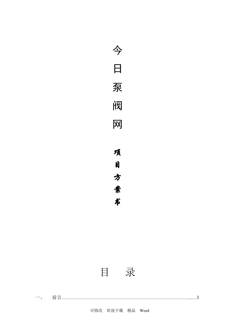 最新今日泵阀网项目方案书_第1页