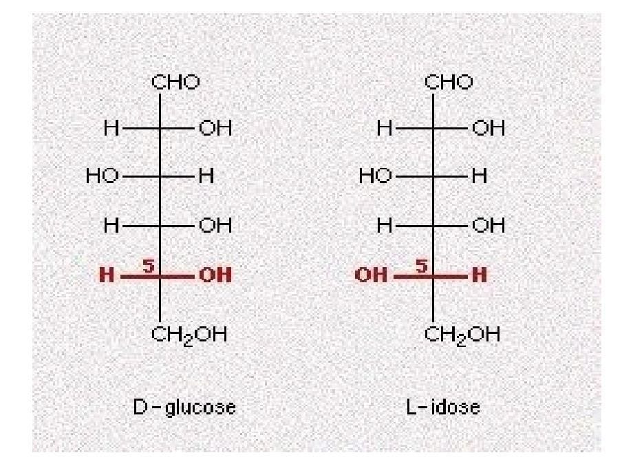 第三章糖类的结构与功能_第5页