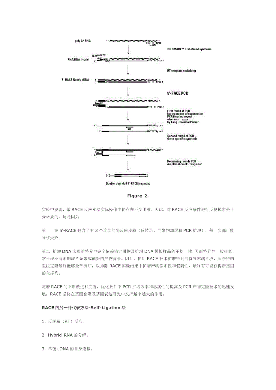 RACE技术的原理和操作_第3页