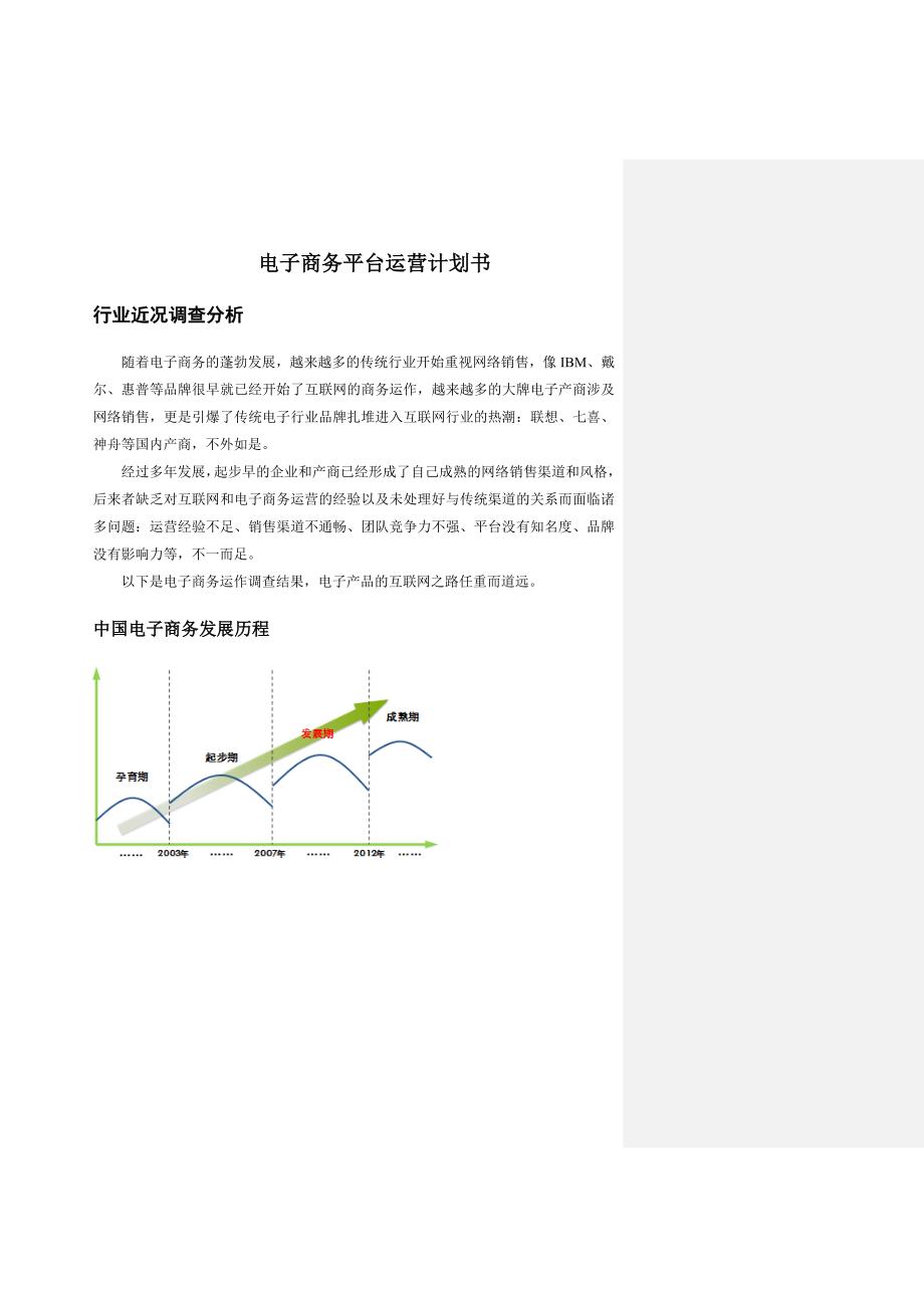 电子商务平台运营策划书_第1页