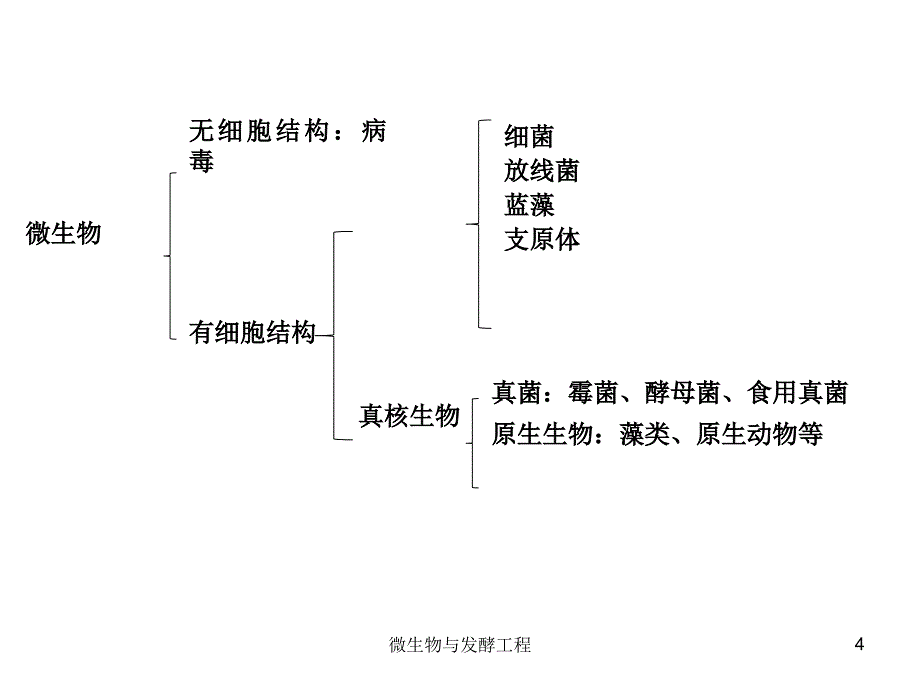 微生物与发酵工程课件_第3页