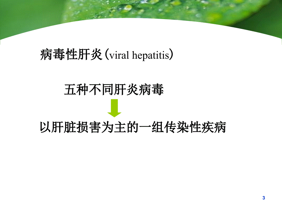 流行病学病毒性肝炎课件_第3页