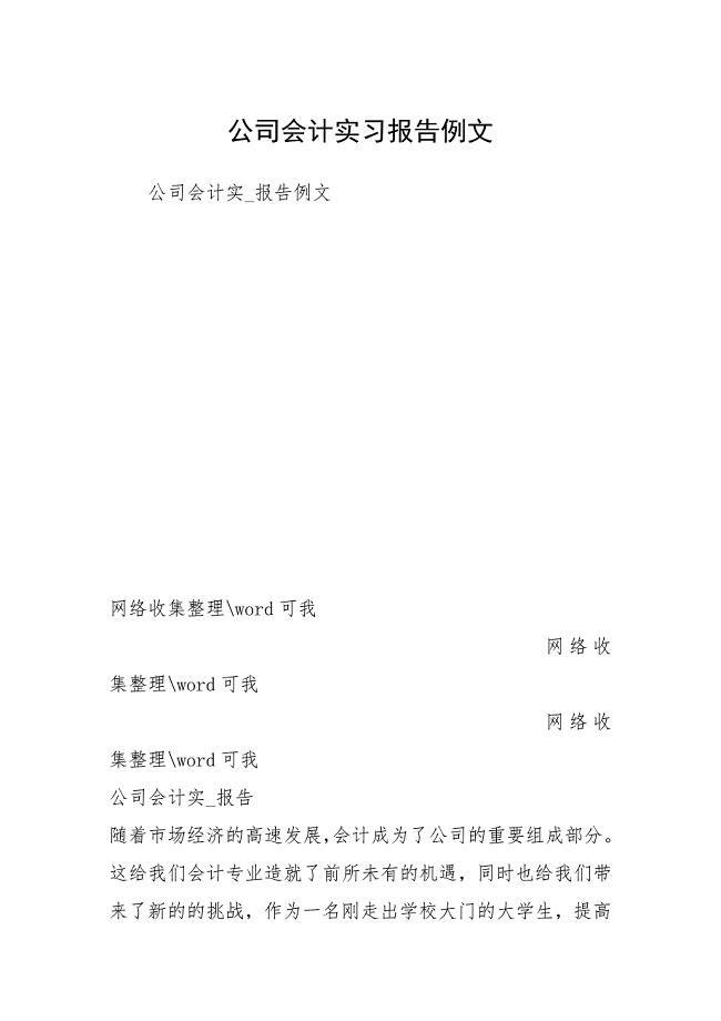 公司会计实习报告例文 .docx