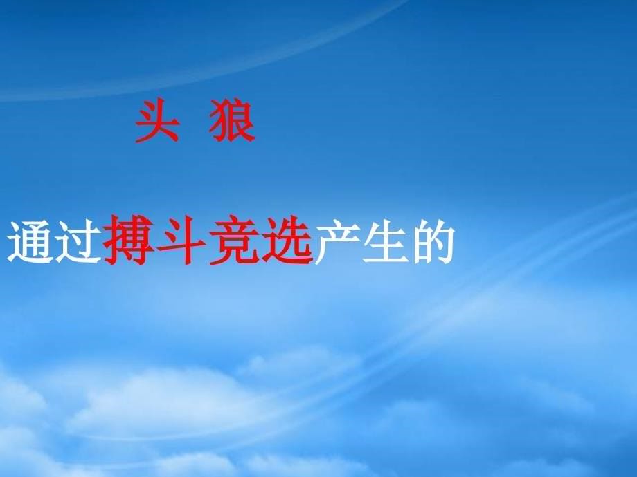 五年级语文上册第三单元狼群课件4西师大_第5页