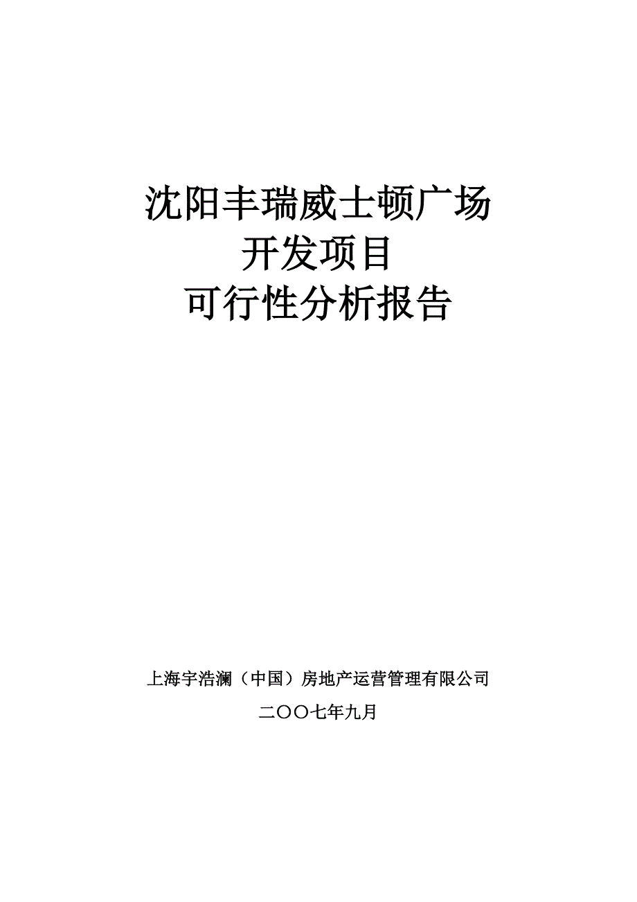 丰瑞威士顿广场开发项目可行性分析报告_第1页