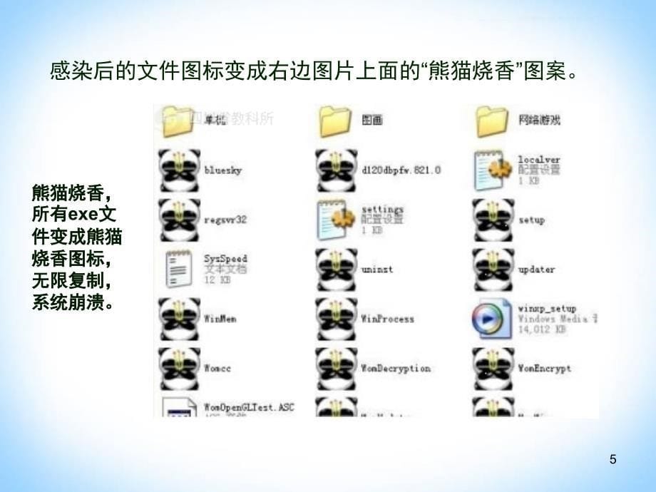 计算机病毒公开课图文课堂PPT_第5页