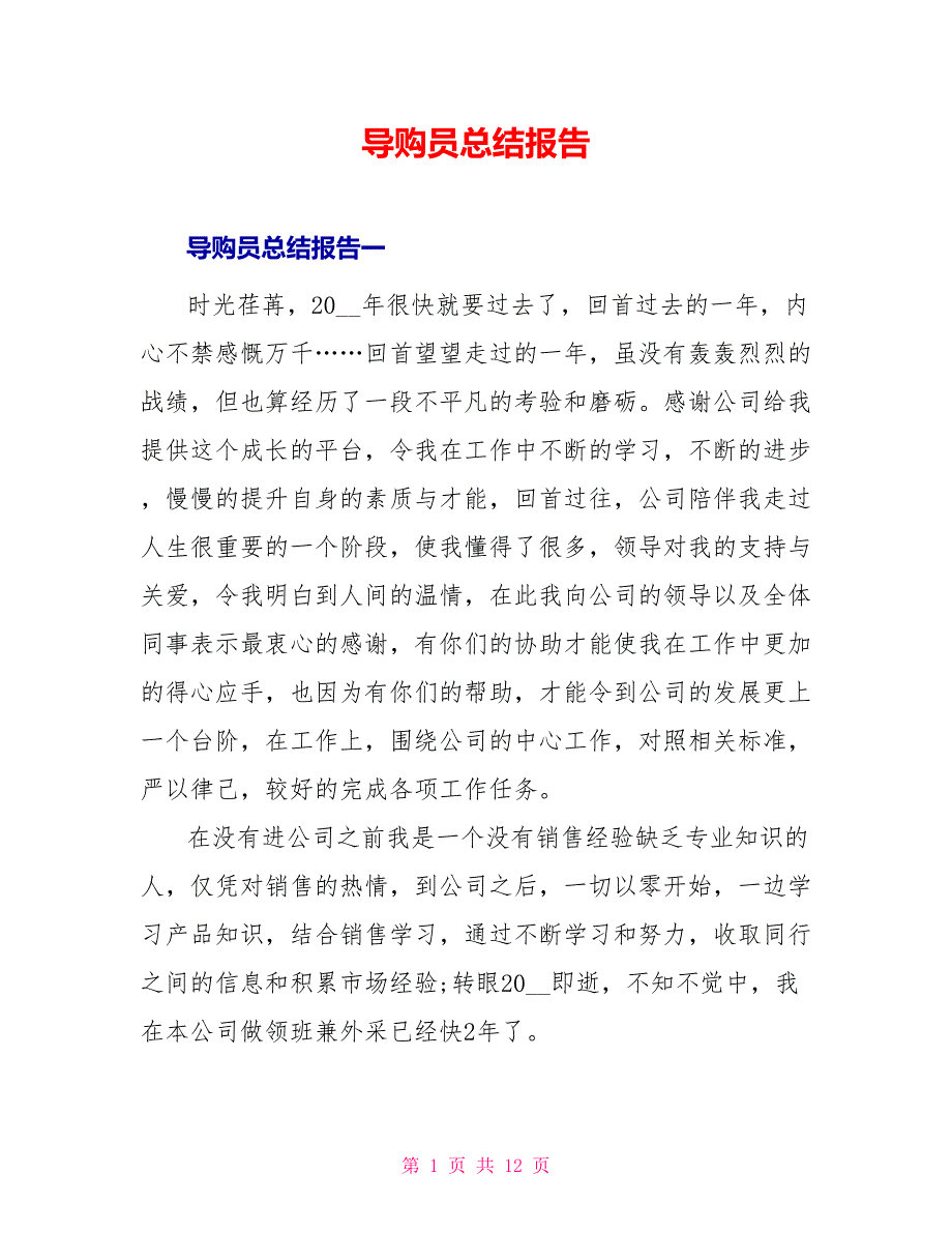 导购员总结报告_第1页