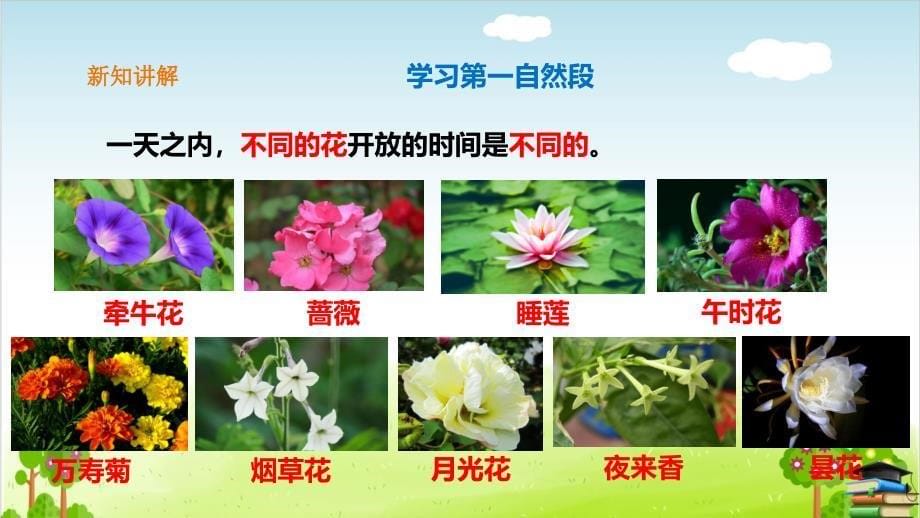 《花钟》PPT课件第二课时_第5页