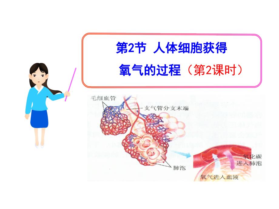 北师大版七年级生物下册课件10.2人体细胞获得氧气的过程第2课时_第1页