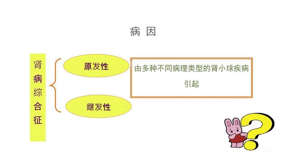 《肾病综合症》PPT课件_第5页