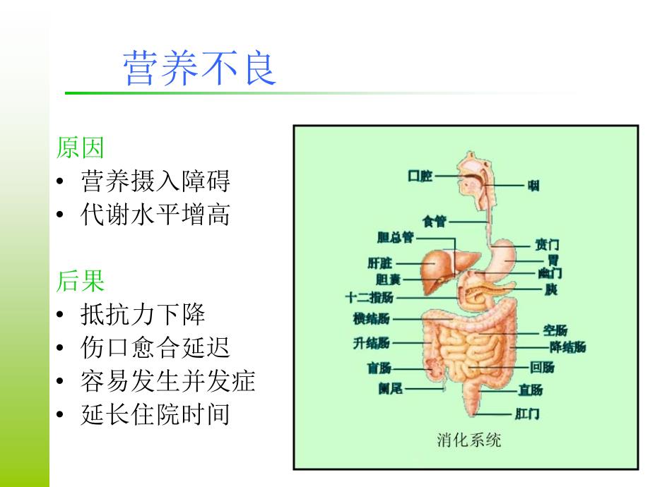 肾疾病营饮食治疗_第4页