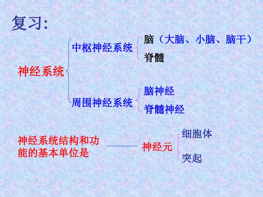 人教版生物七年级下册4.6.3 神经调节的基本方式 课件 (共39张PPT)_第2页