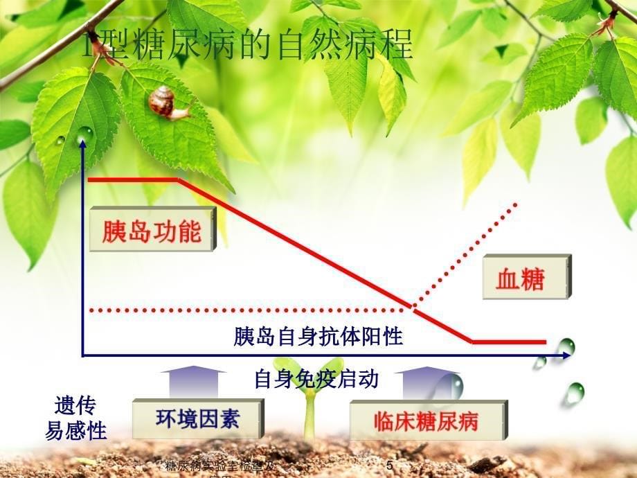 糖尿病实验室检查及应用课件_第5页