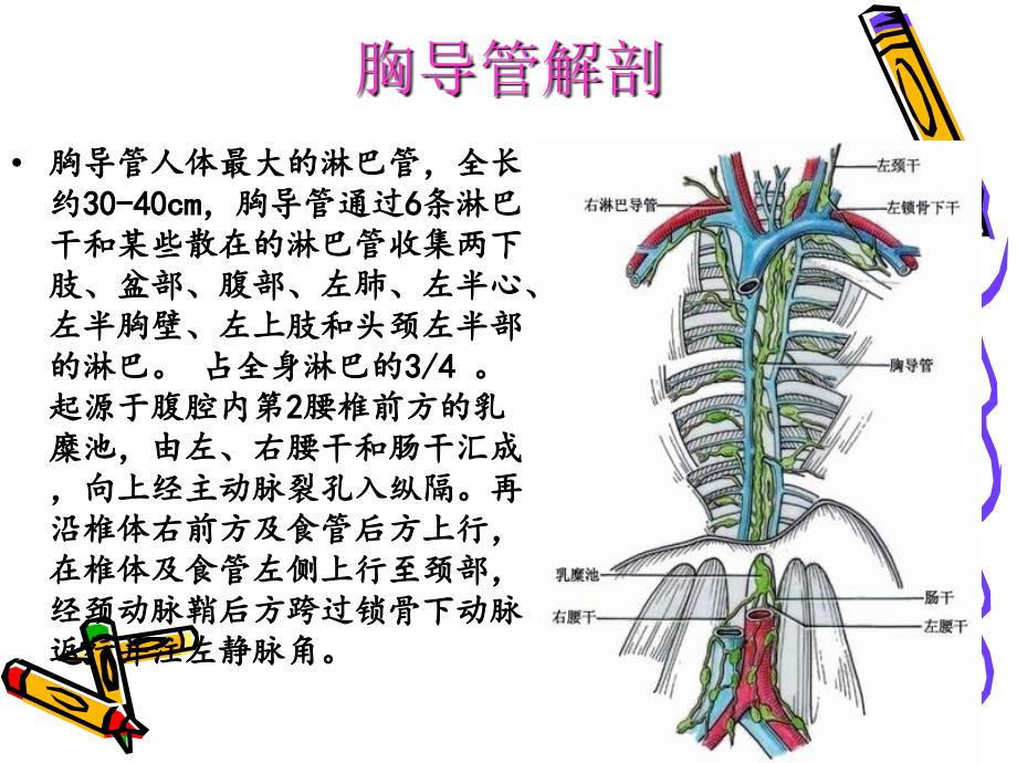 乳糜胸-(个人整理)_第4页