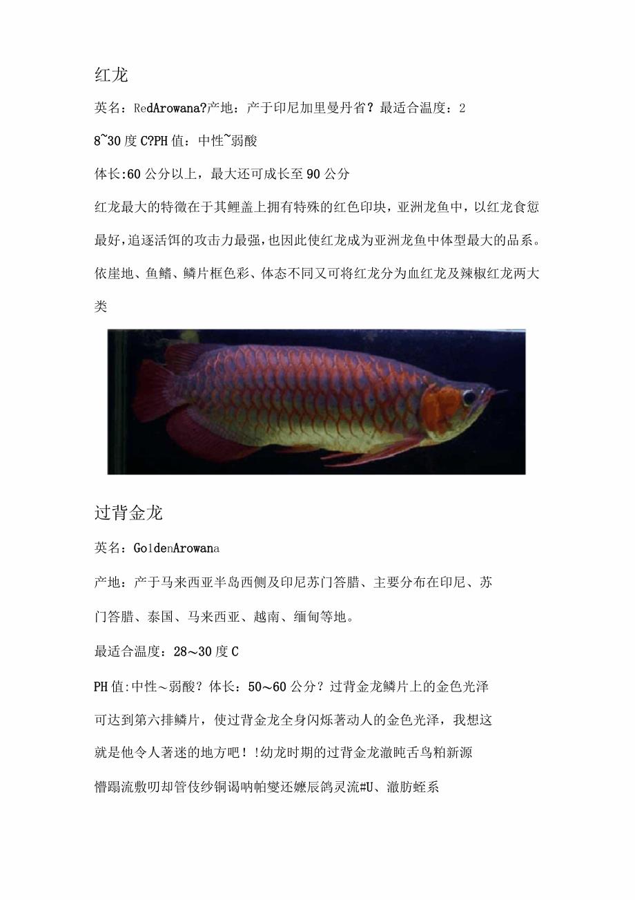 各类龙鱼图文介绍_第3页