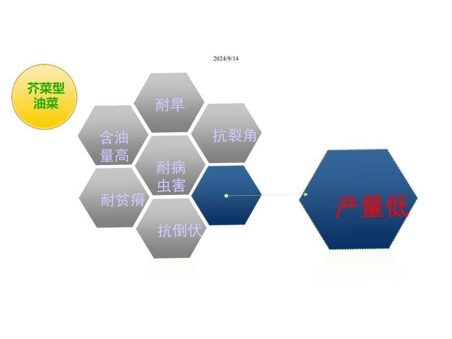 中国油菜育种课件_第5页