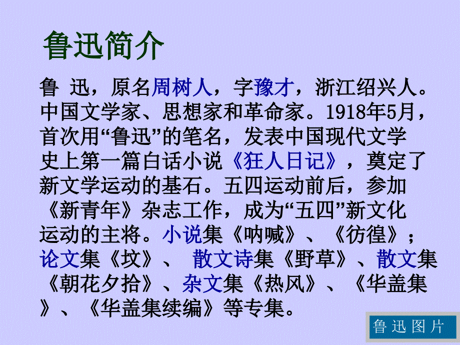 鲁迅《祝福》ppt_第3页