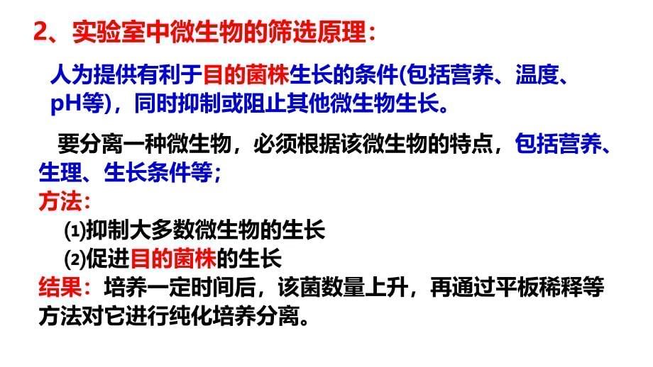 土壤中分解尿素的细菌的分离与计数公开课_第5页