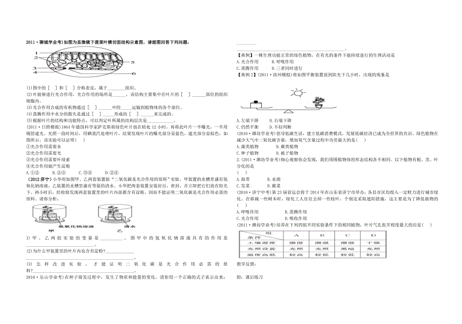 中考生物 2.1 第二单元 第一章 生物圈中的绿色植物复习导学案（无答案） 济南版_第3页