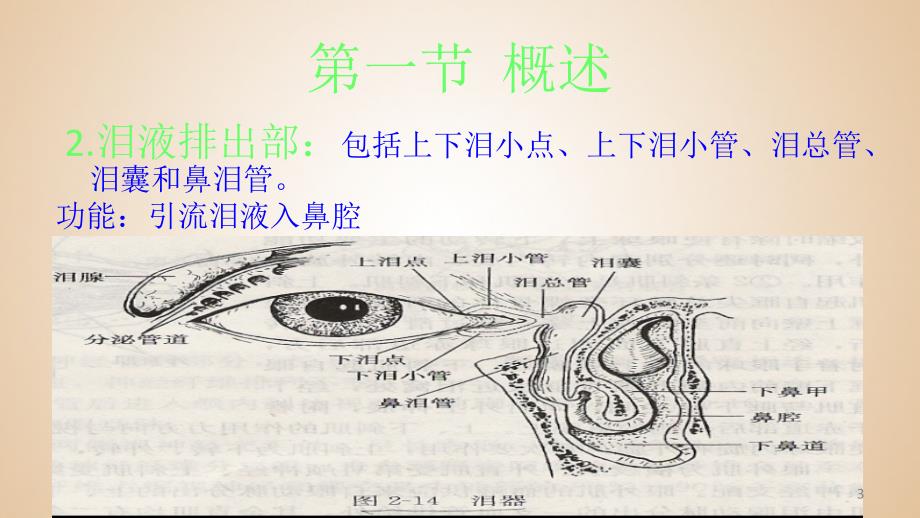 泪器病ppt课件_第3页