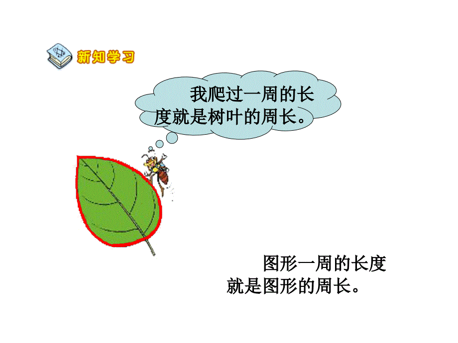 新三年级数学上册——认识周长课件_第4页