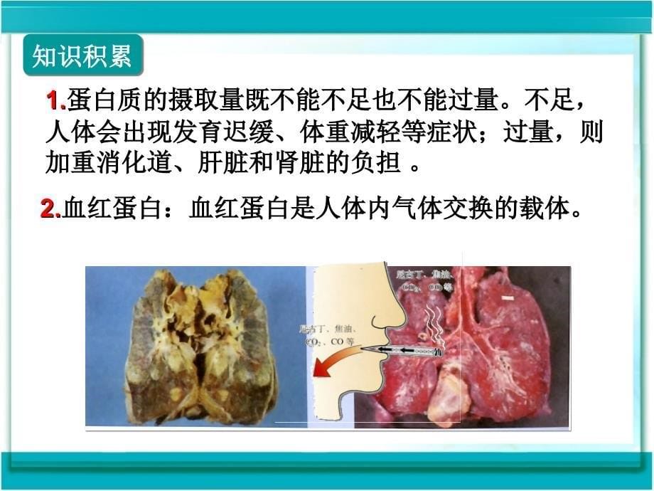 课题1　人类重要的营养物质_第5页