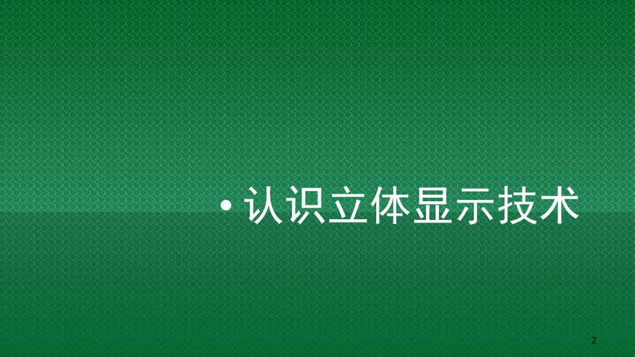 立体显示技术介绍文档资料_第2页