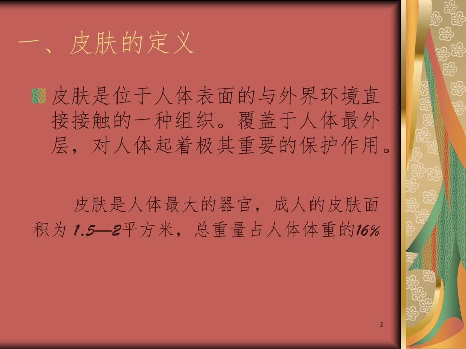 美容行业皮肤的专业知识.ppt_第2页