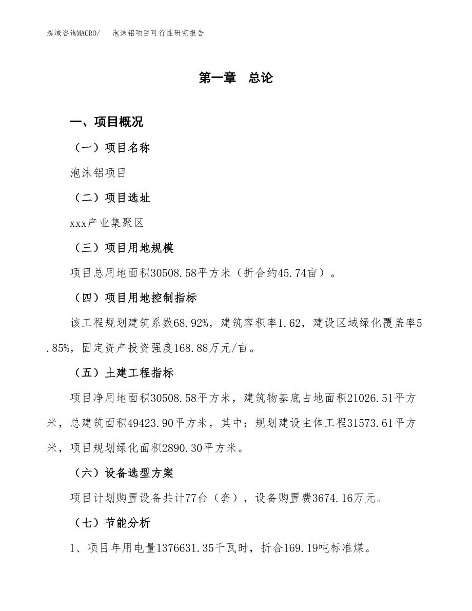 泡沫铝项目可行性研究报告（总投资11000万元）（46亩）.docx_第3页