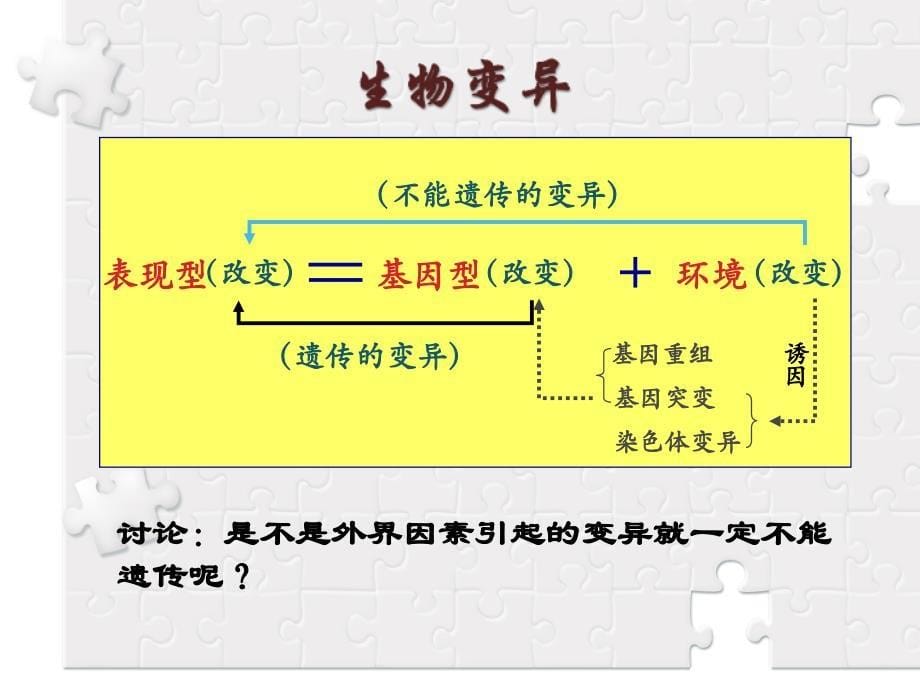 基因突变及其他变异优秀课件_第5页