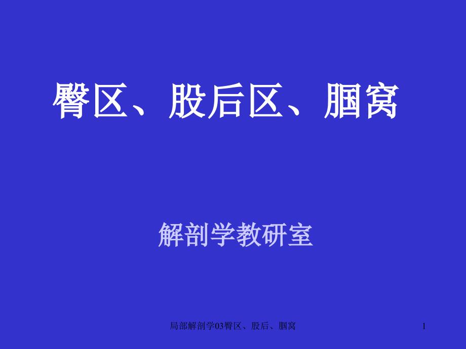 局部解剖学03臀区股后腘窝课件_第1页