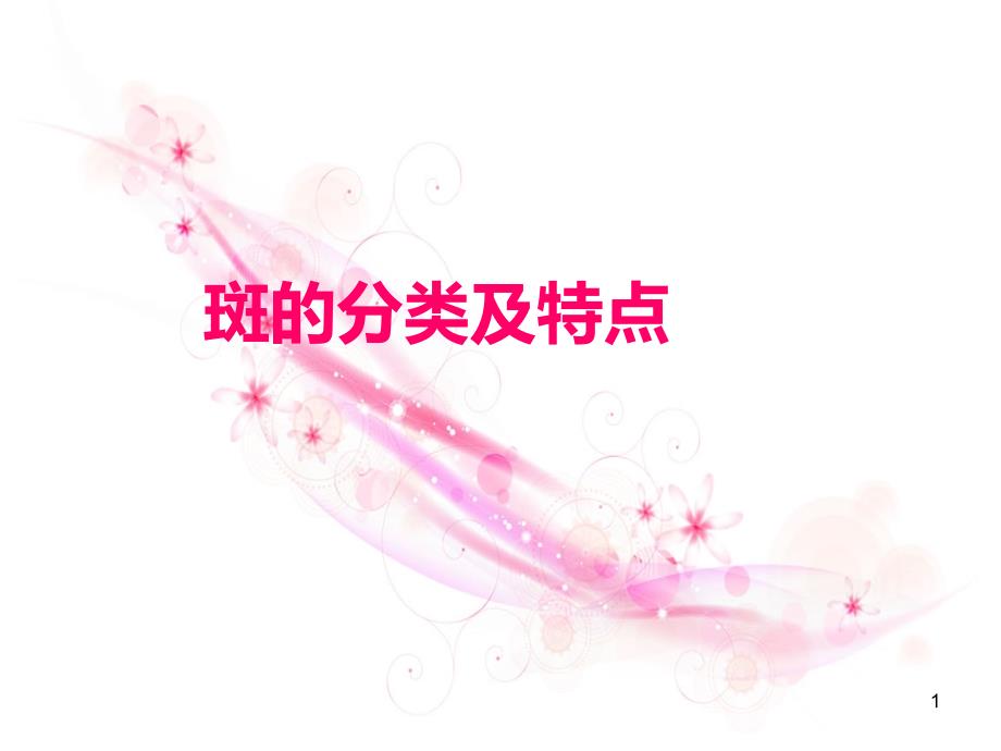斑的分类及特点_第1页