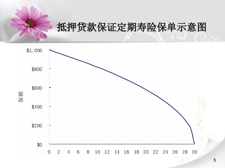 抵押贷款偿还保险和信用人寿保险_第5页