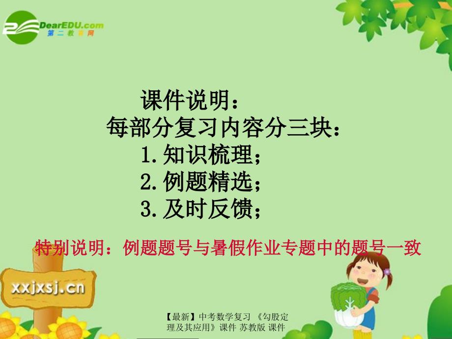 最新中考数学复习勾股定理及其应用课件苏教版课件_第2页