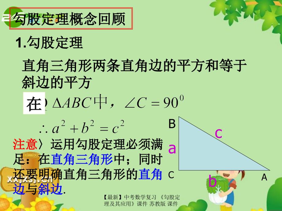 最新中考数学复习勾股定理及其应用课件苏教版课件_第3页