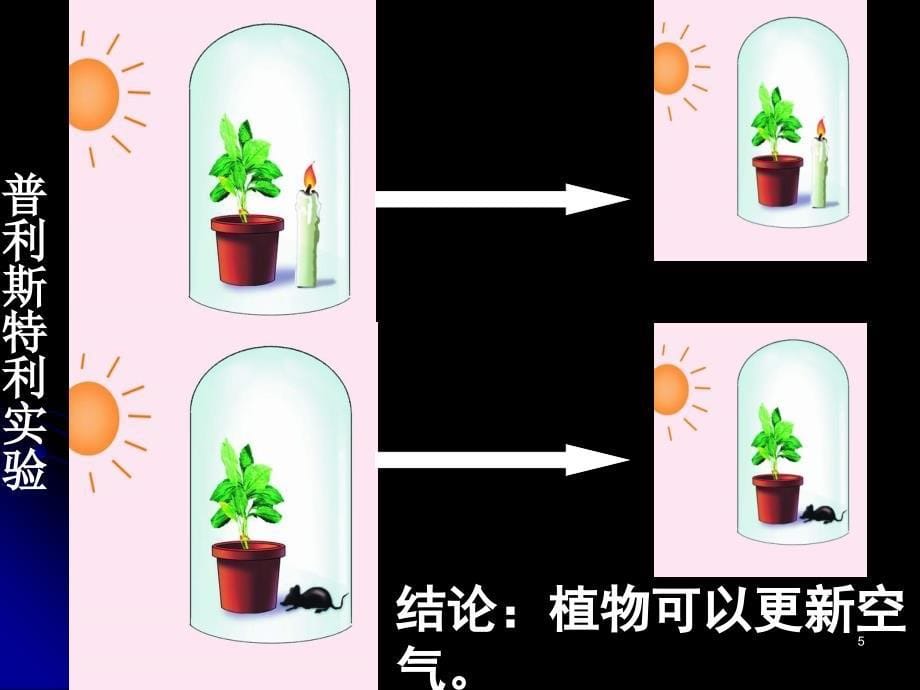 光合作用第一节_第5页