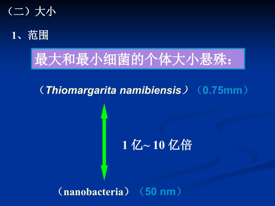 3结构与功能1_第3页