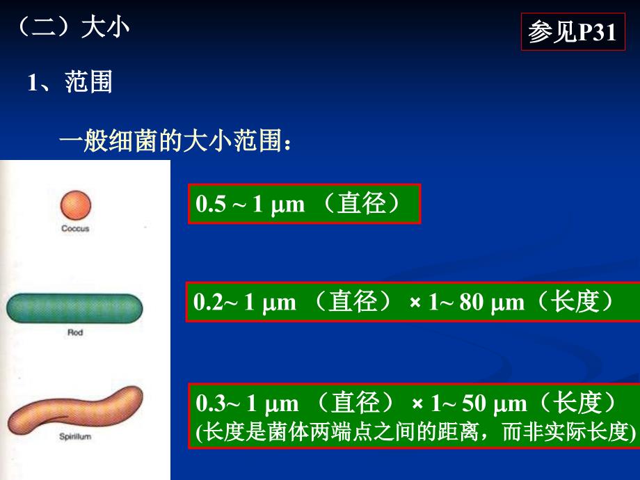 3结构与功能1_第4页