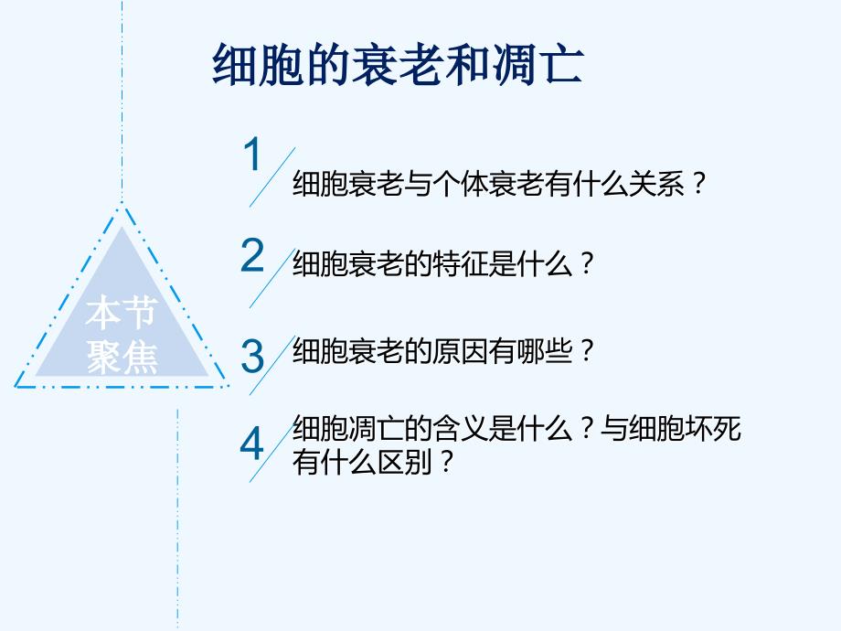 细胞的衰老和凋亡精品公开课_第3页