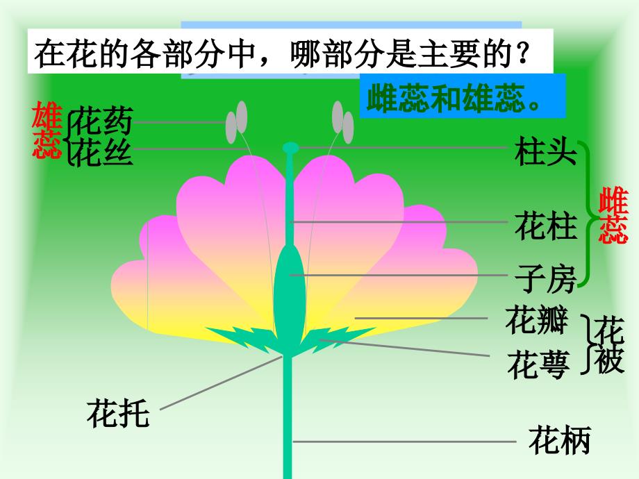 初二生物下册课件植物的生殖PPT课件_第3页