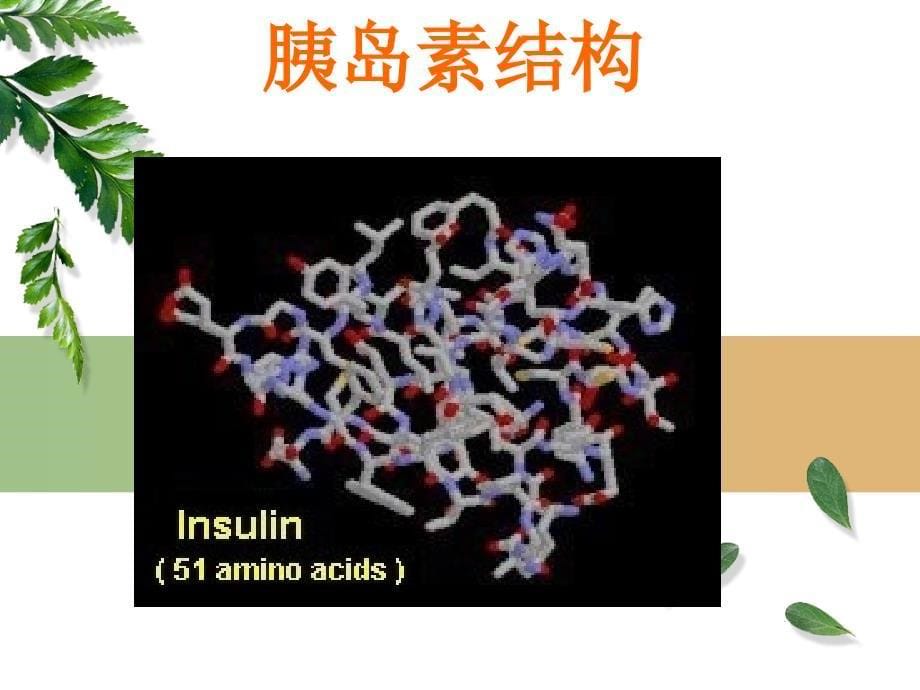 胰岛素及类似物使用与注射管理.ppt_第5页