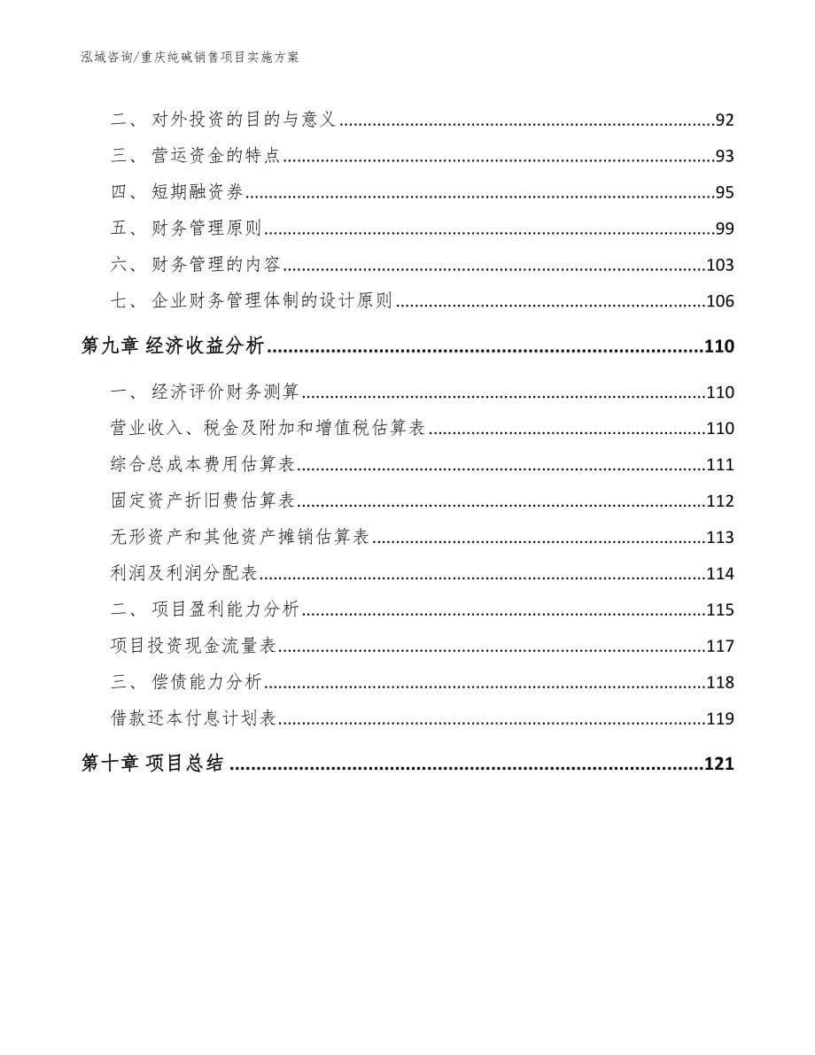 重庆纯碱销售项目实施方案参考范文_第5页