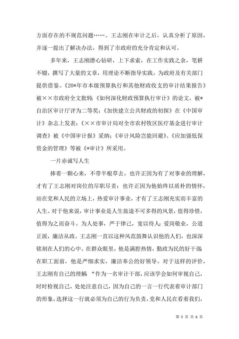 审计局副局长先进事迹材料.doc_第5页