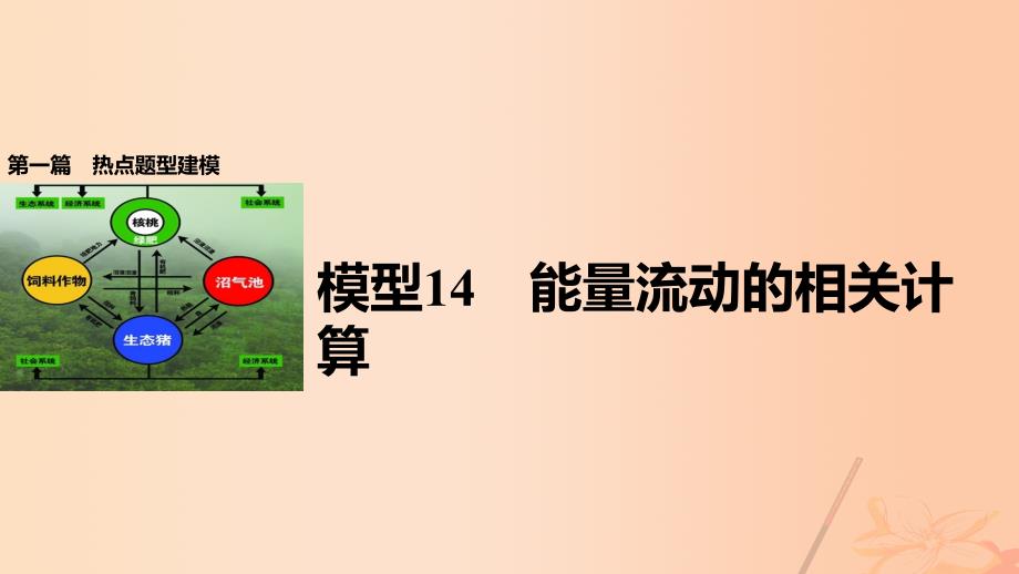 高考生物大二轮专题复习与增分策略 热点题型建模 模型14 能量流动的相关计算课件_第1页