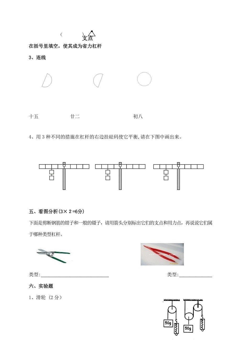 科学总复习试卷_第5页