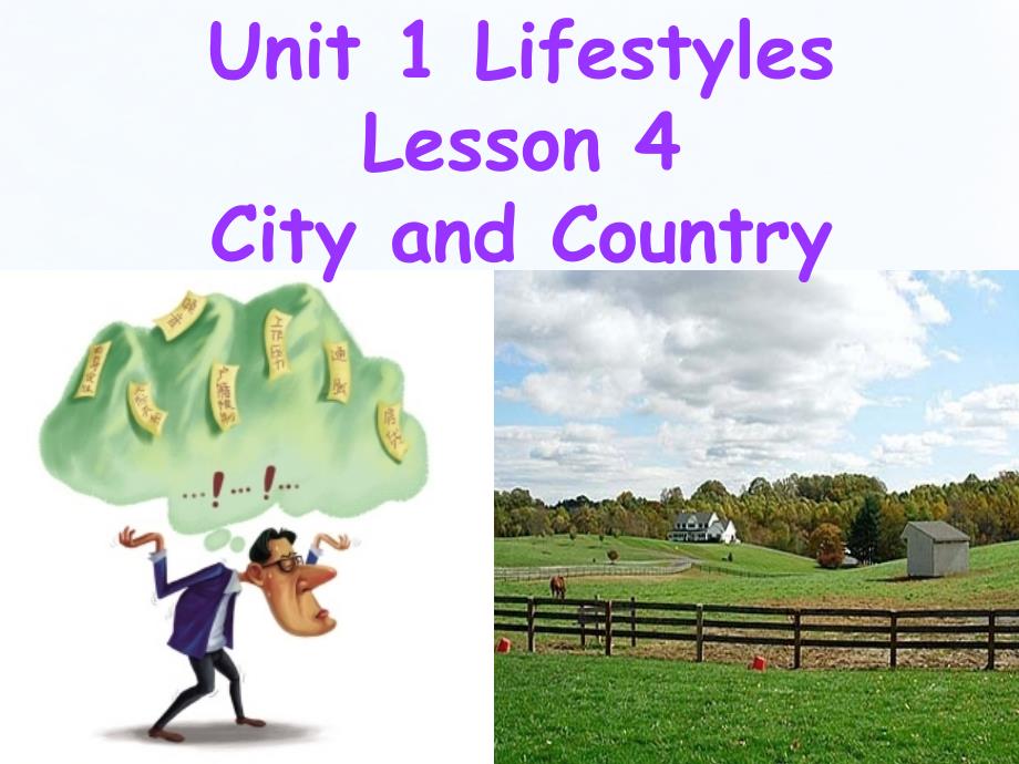 北师大版必修一高一上学期英语unit1Lesson4CityandCountry共42.ppt_第2页