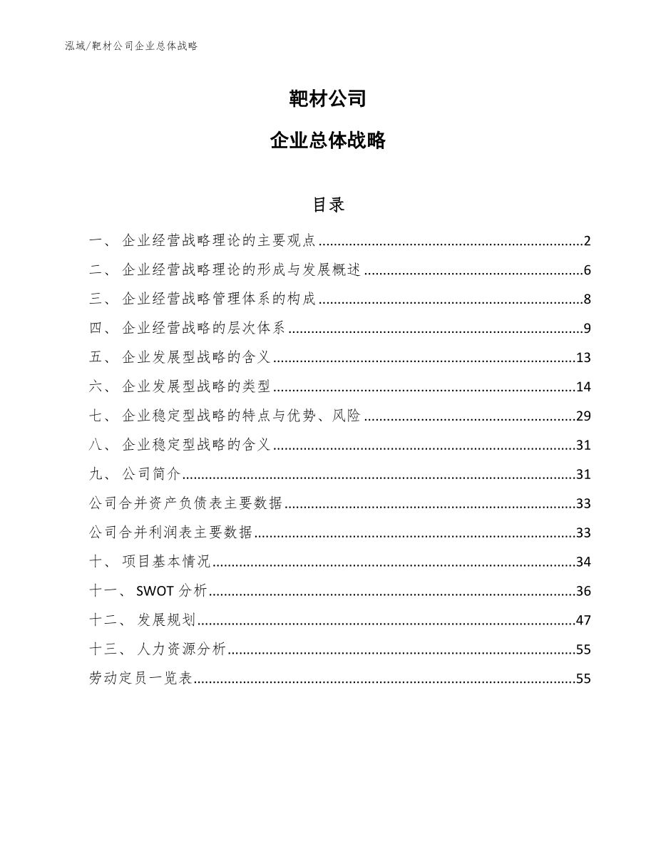 靶材公司企业总体战略_第1页