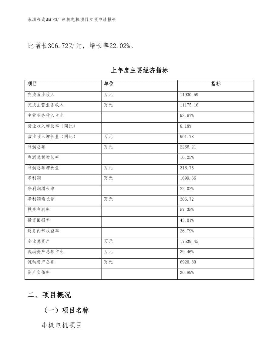 串极电机项目立项申请报告_第5页