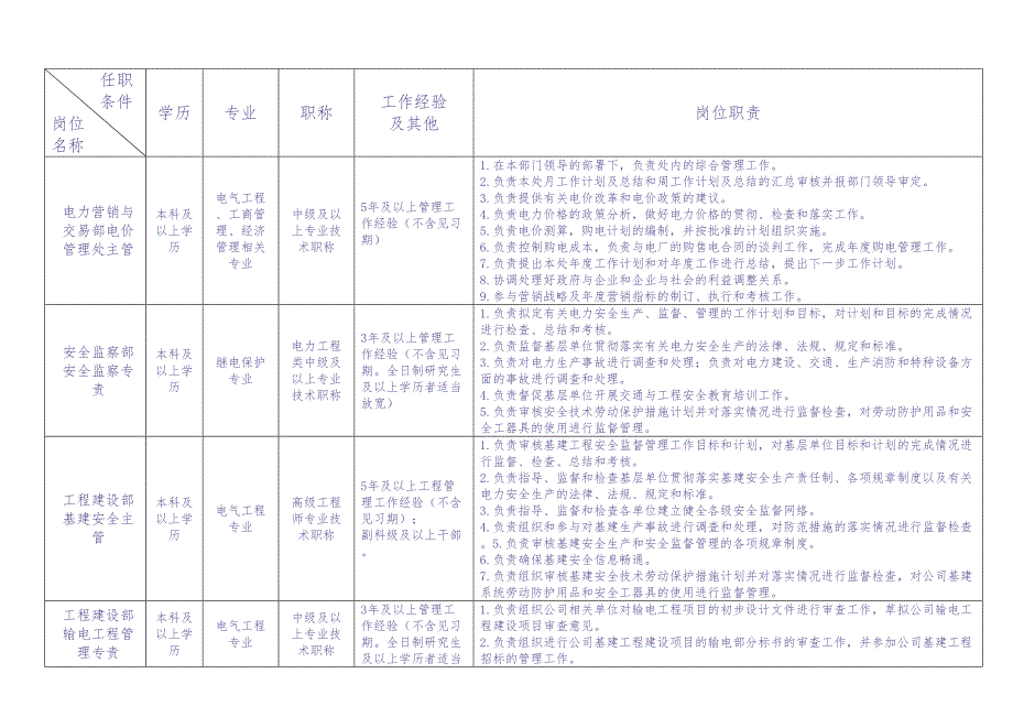 电网公司岗位职责（天选打工人）.docx_第2页