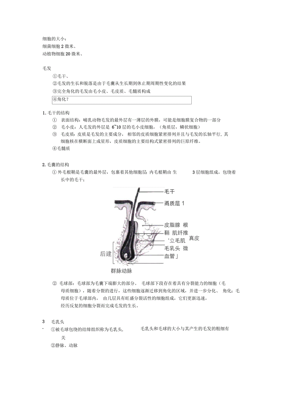 人体毛发基础知识点及图解_第1页